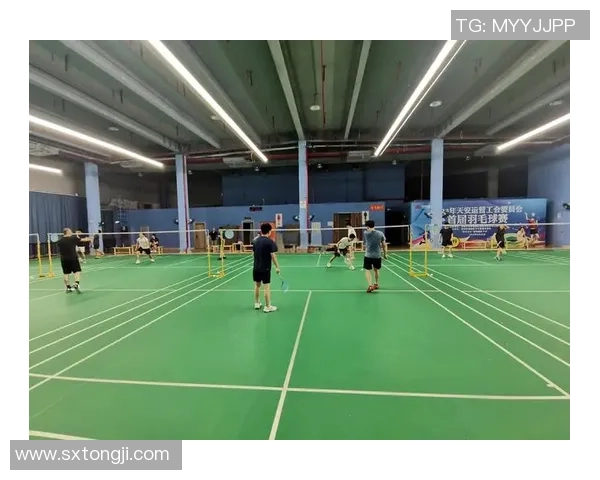 羽毛球巨献：探秘武汉羽毛球队的战术