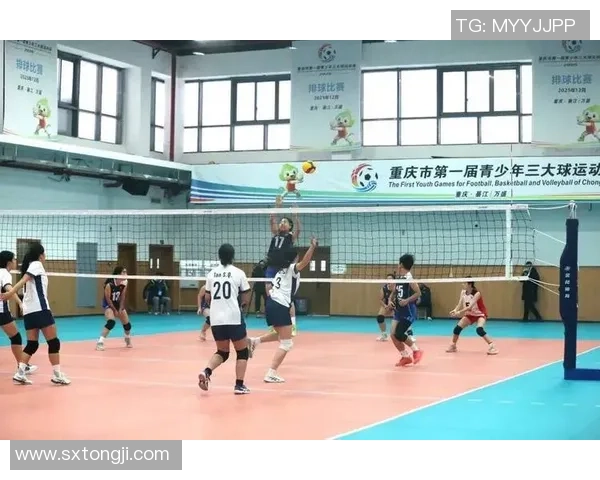 排球纪实：记录重庆排球队的转型之路
