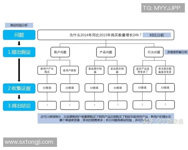 数据分析：上海羽毛球队的实力表现