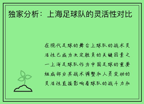 独家分析：上海足球队的灵活性对比