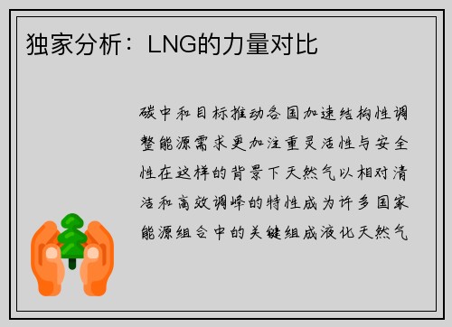 独家分析：LNG的力量对比