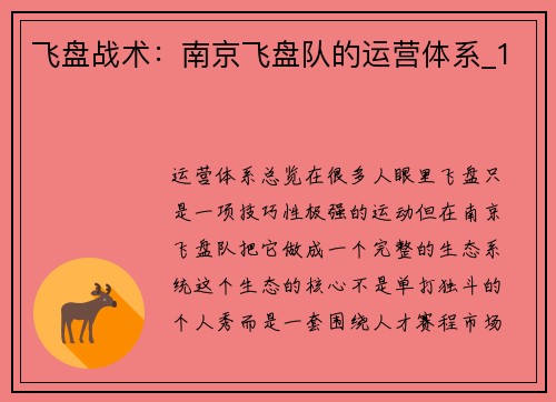 飞盘战术：南京飞盘队的运营体系_1